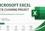 professionally clean, sort, and format excel data